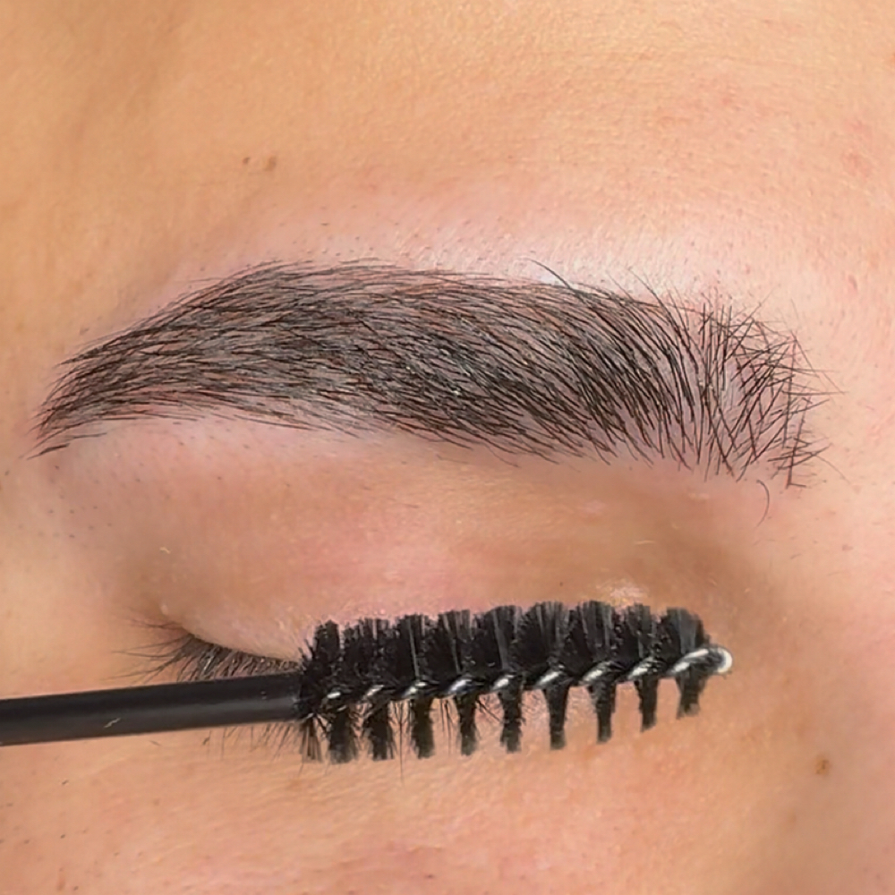 BROW TOUCH-UP (ANNUAL) at Beauty Brows Center in Tampa, FL