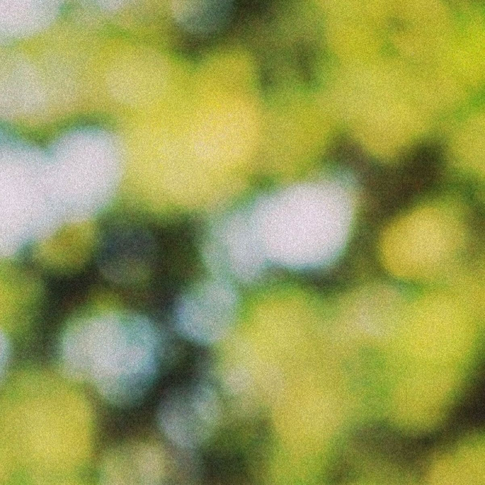 Dazzle Dry at Odette Beauty Parlour in Portland, ME