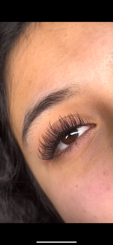 Brown Classic Lashes Fill