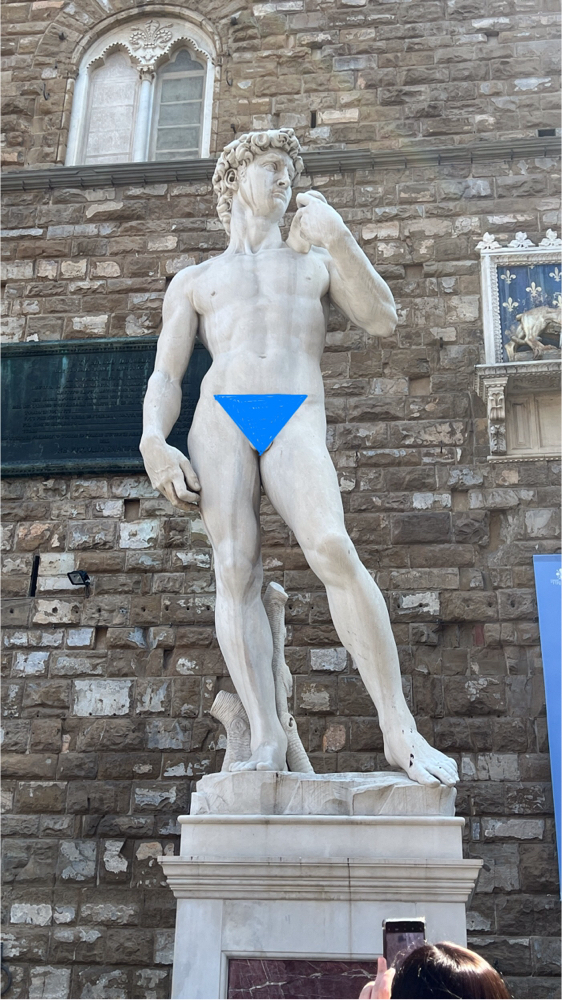 Bikini Front Only - P