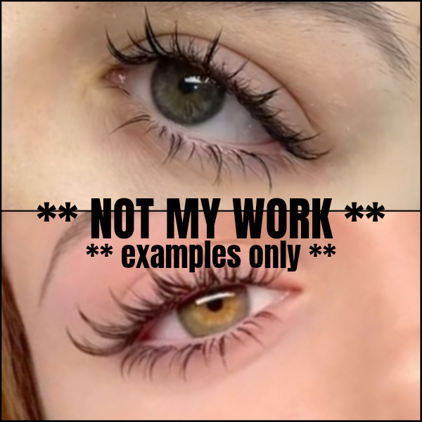 Bottom Lash Model Add On