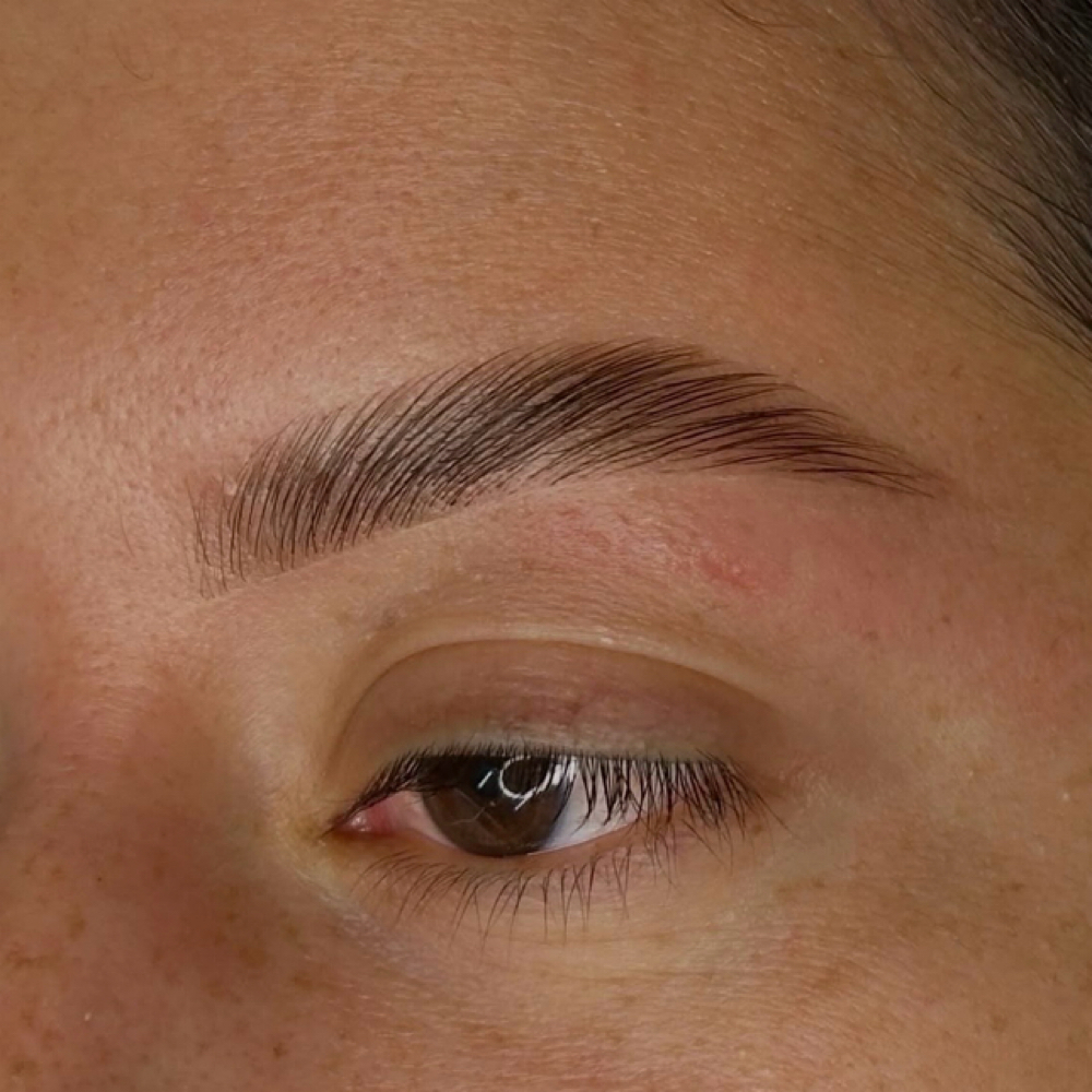 Signature Brow Lamination at Made New Aesthetics in Lone Tree, CO