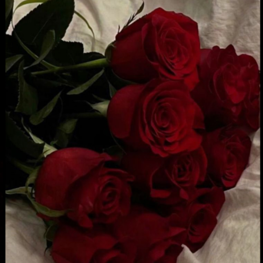 ❤️‍🔥Brazilian + hydroJelly Mask