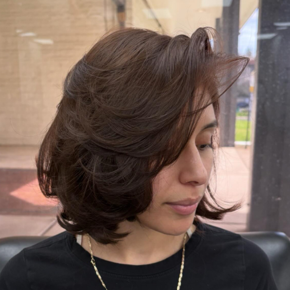 Haircut w/ blowout at Alanna Galathe in Fair Oaks, CA