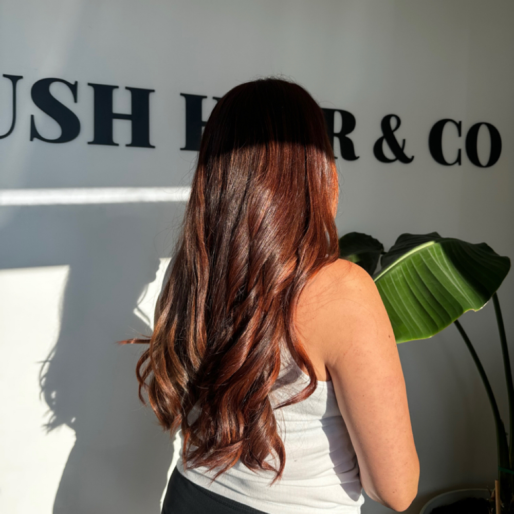 All Over Color at Lush Hair & Co in Sacramento, CA