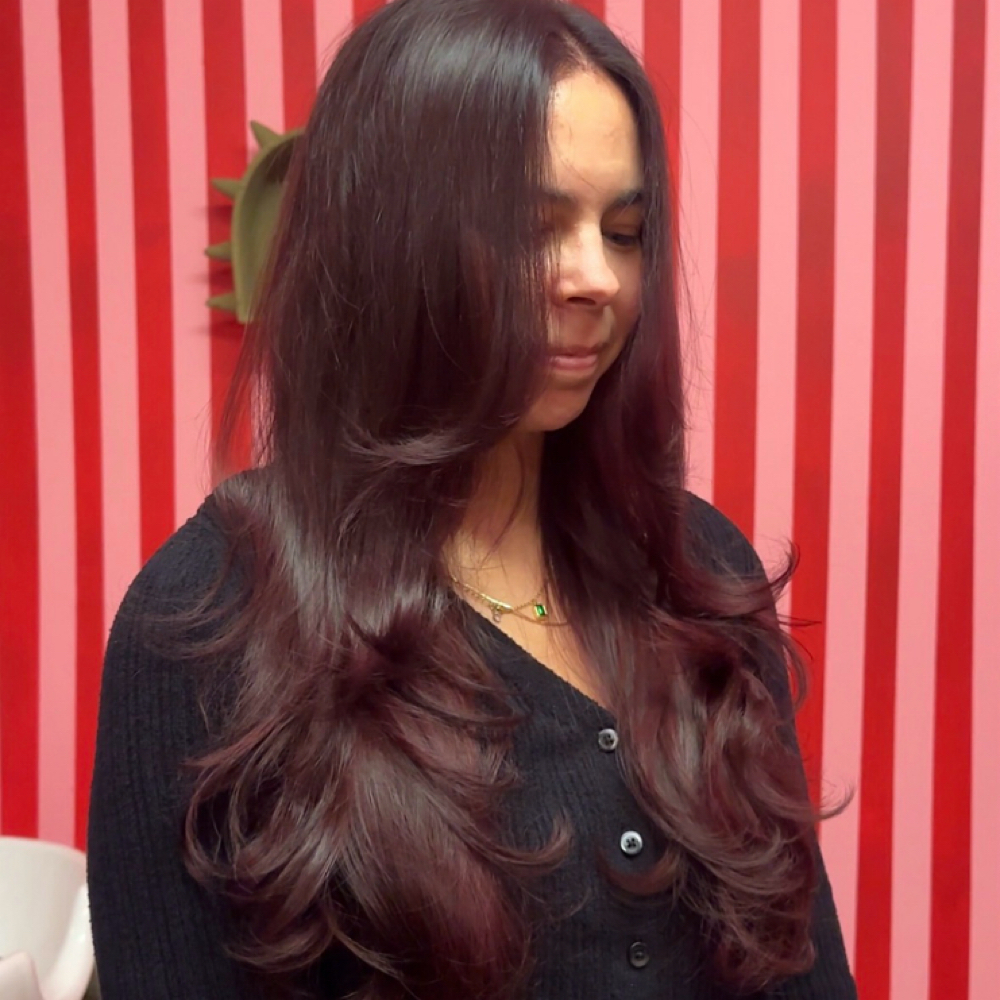 All Over Color at Velvet Edge Hair in Charlotte, NC