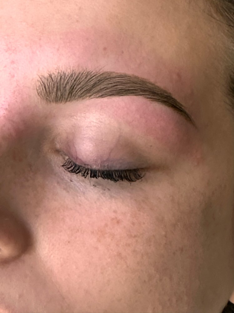 Eyebrow Wax & Tint