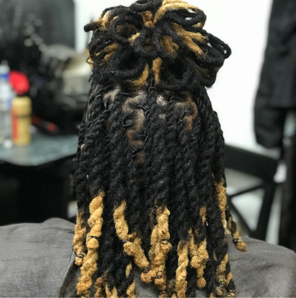 Half Petal Loc Half Twostrand Twist