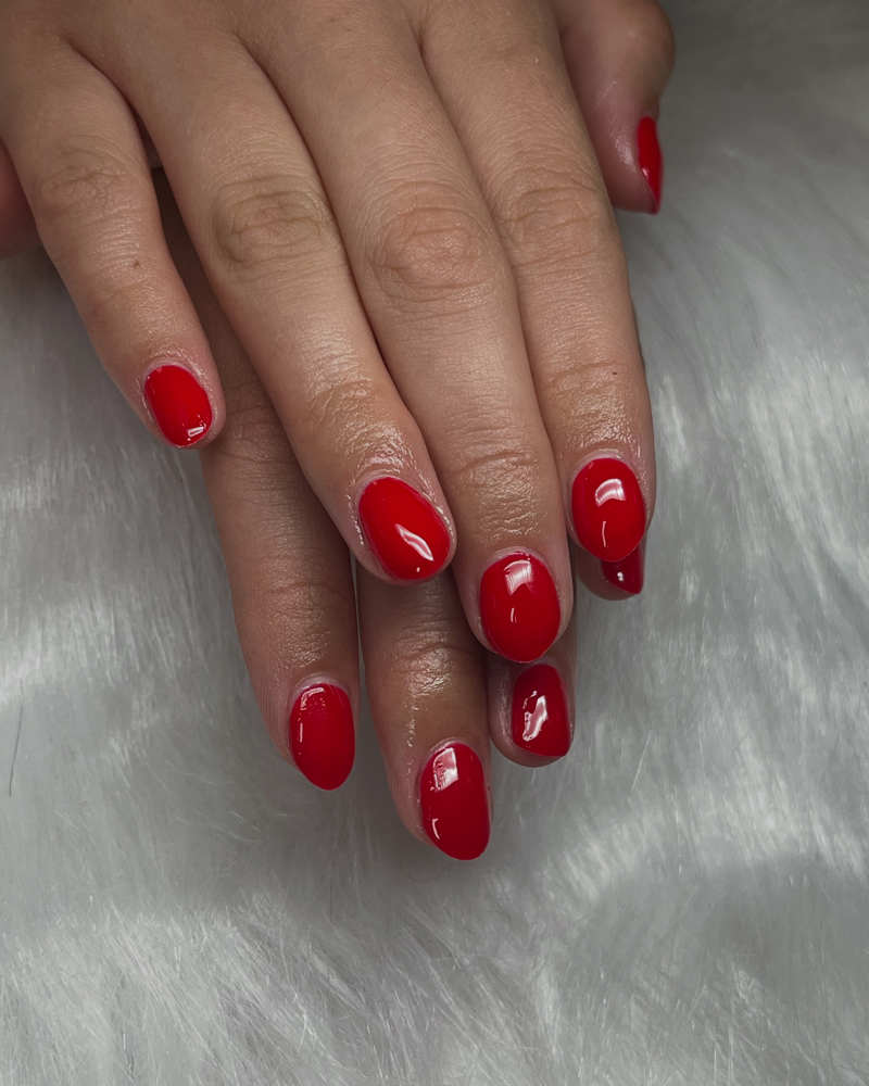 Gel Polish