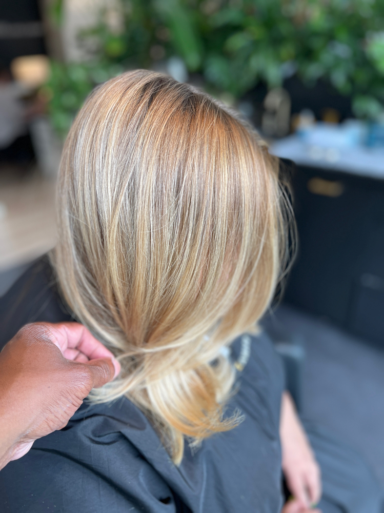 Partial Highlight, Cut, & Blow Dry