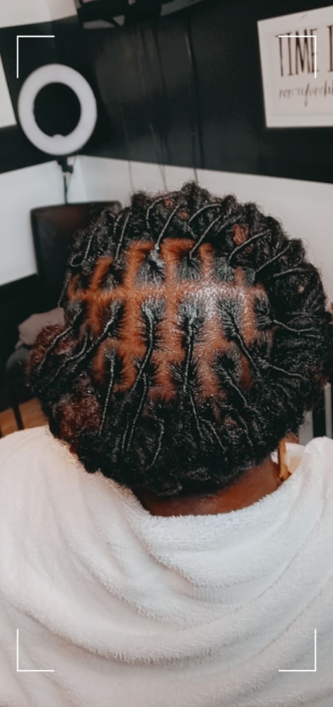 Loc Retwist(basic style) No Ropes
