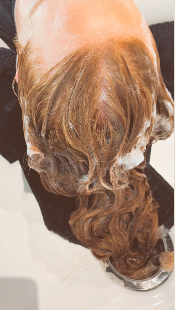 The Root Revival 🦋