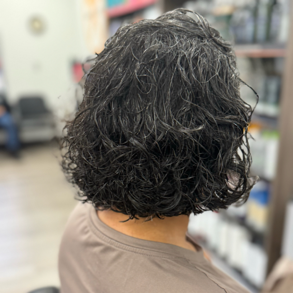 Haircut With A Service at The Velvet Chair Company in San Diego, CA