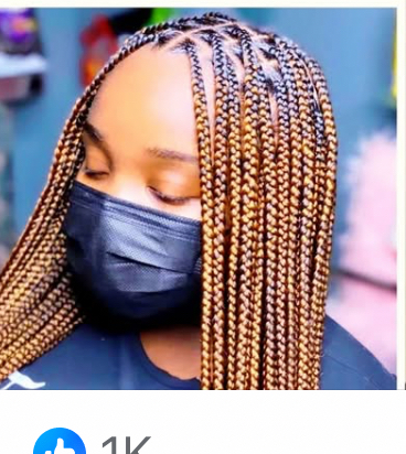 Small BoxBraids Waist Length