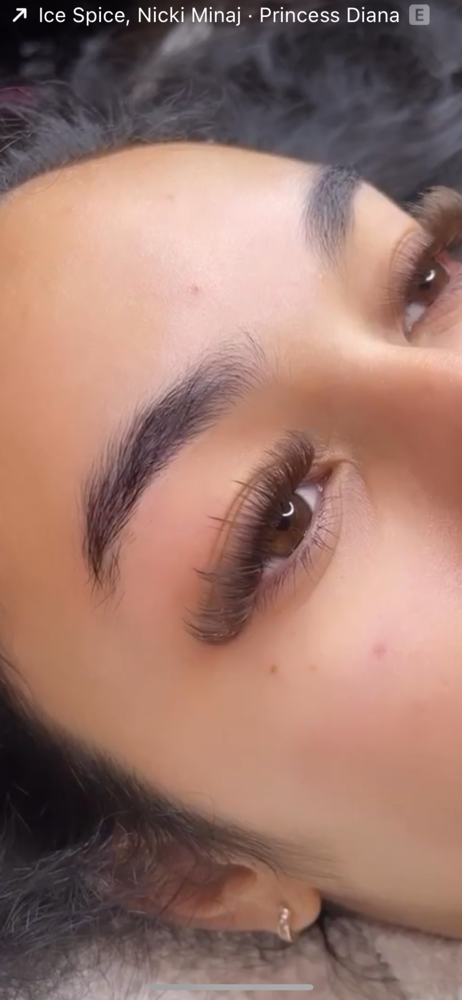 Brown Set Hybrid