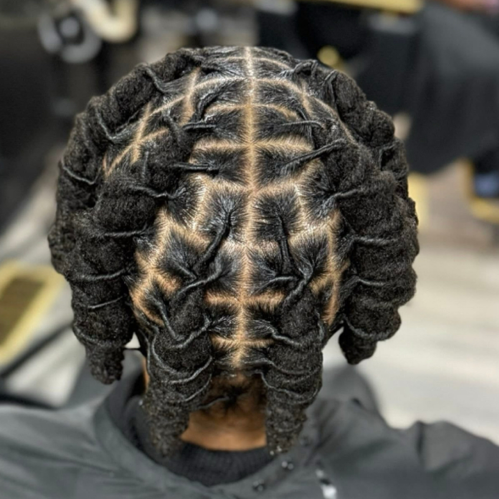 Retwist W/ Barrel Style at NaturaLee Styling LLC in Charlotte, NC