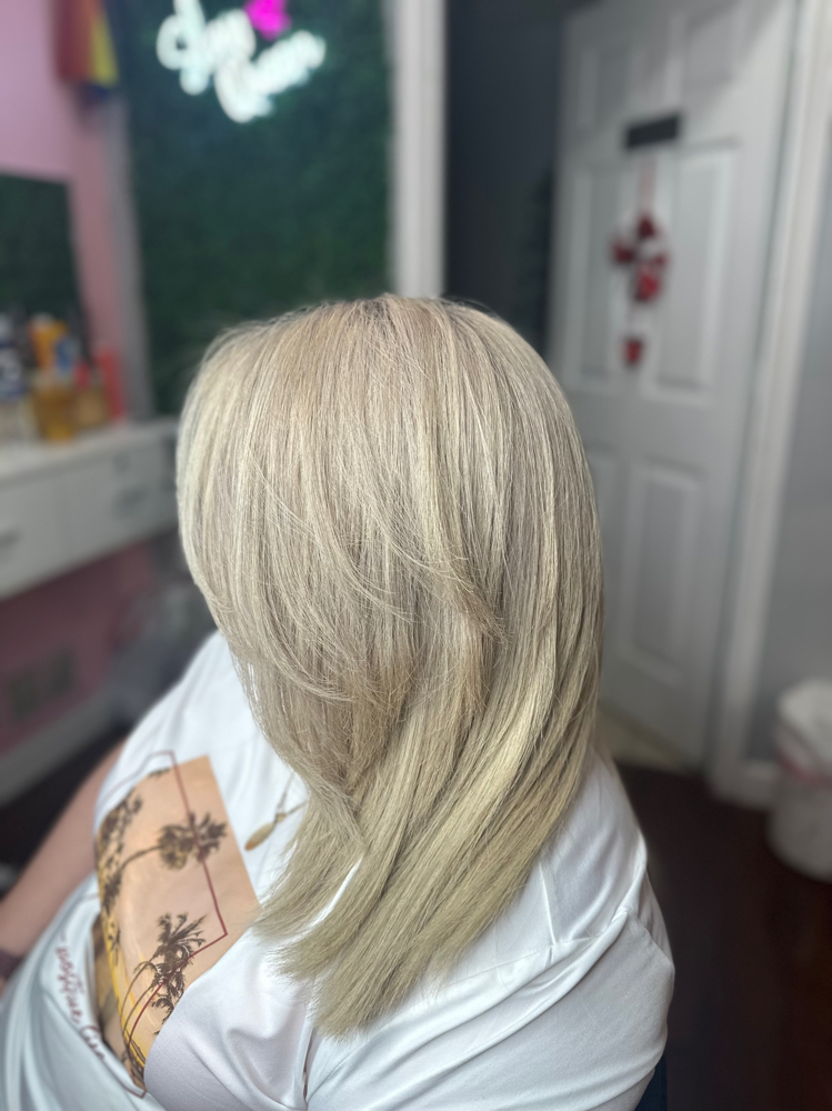 Bleach Touch Up, Tone Blowdry/Cut