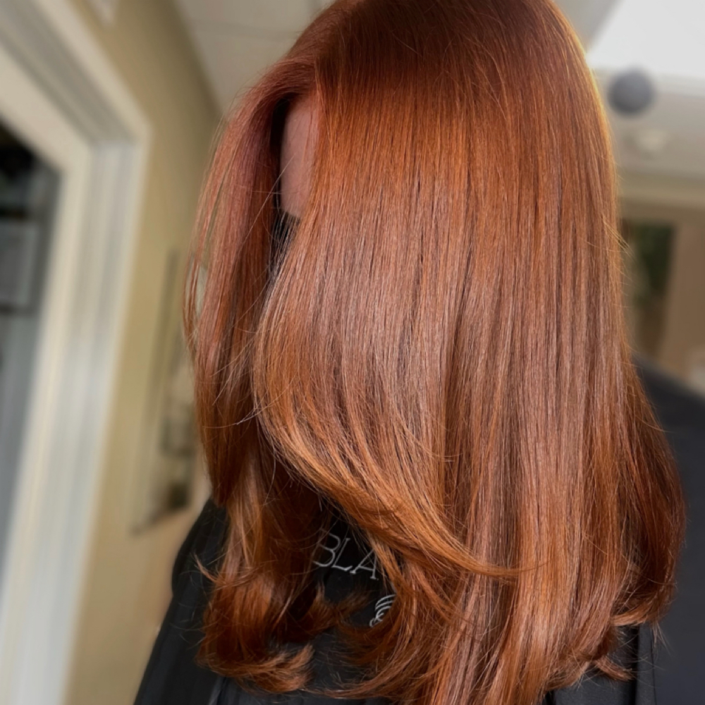 Full Color at Sophia Bicknell in Portland, ME