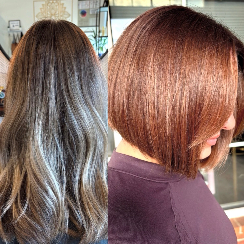 The Transformation at Sundara Hair Collective in Winston-Salem, NC