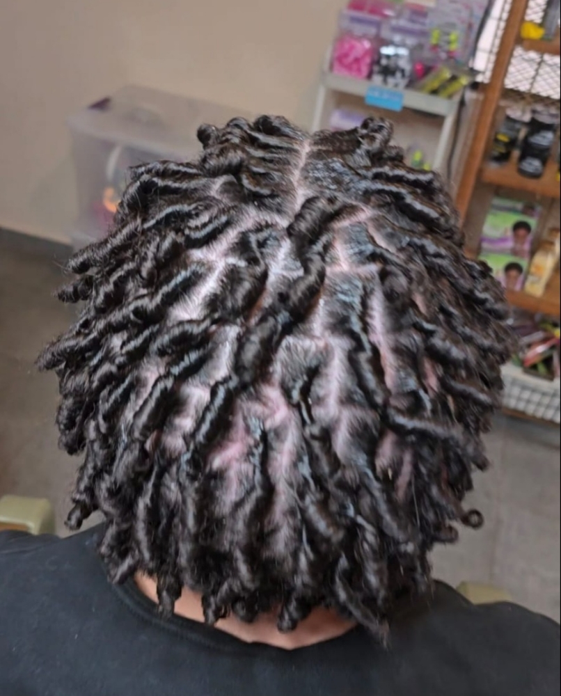 Starter Locs
