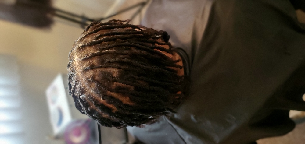 Starter Locs