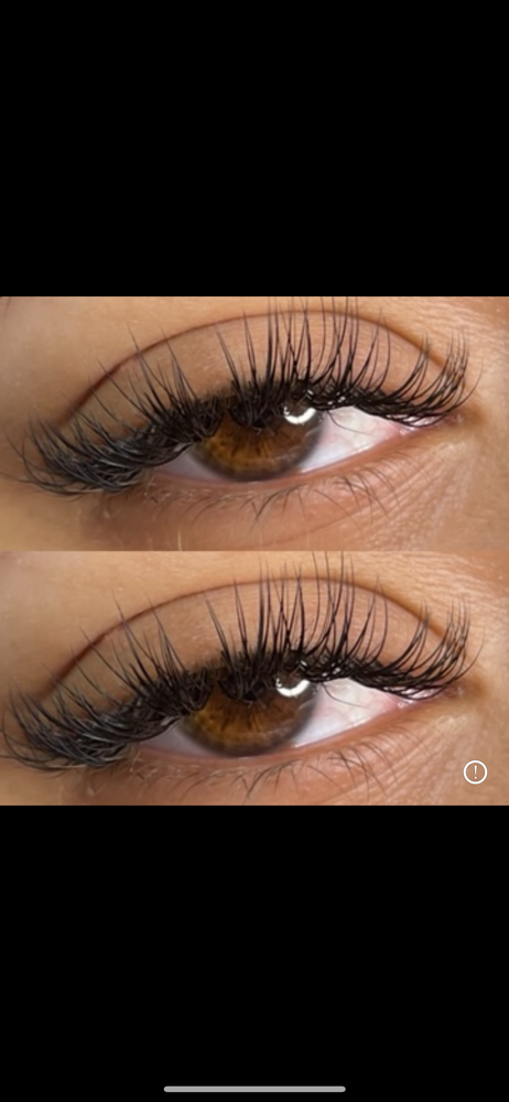 Lash Fill ( Wet, Hybrid, Volume )