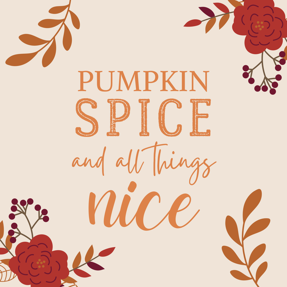 Pumpkin Spice Facial at Olivia Esthetics in Longview, TX