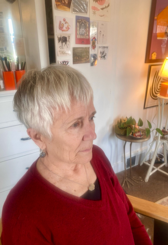 Short Haircut $65+