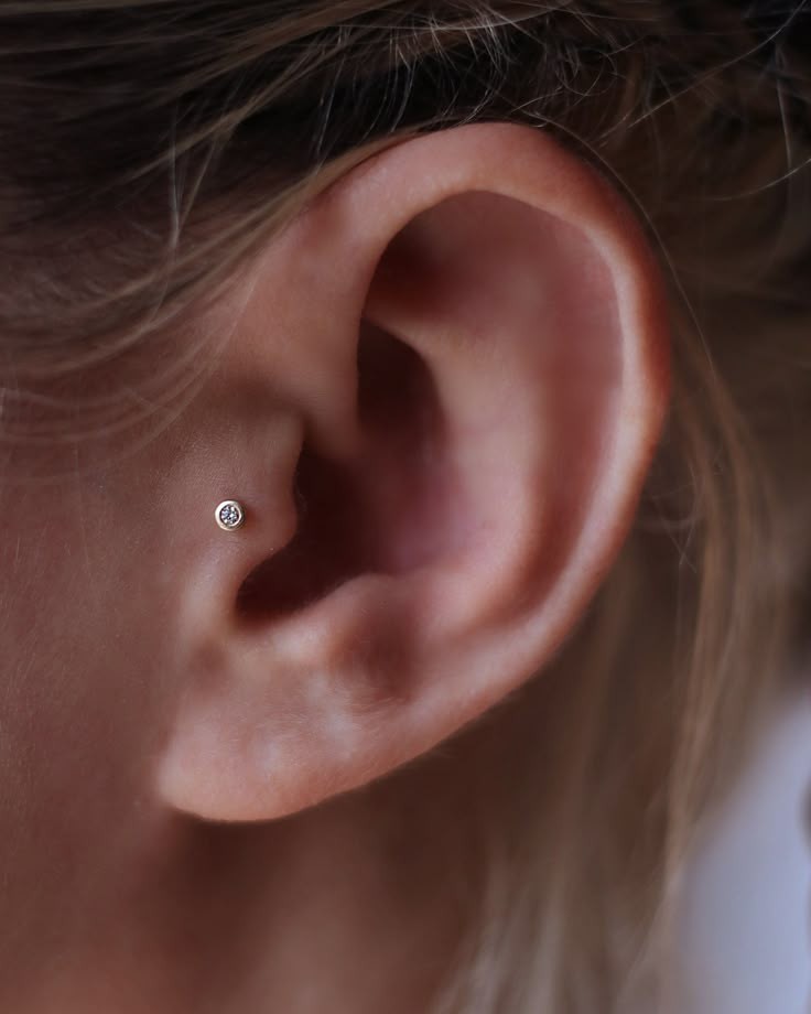 Tragus Piercing at Makenzie/Serpent & Sage in Watertown, NY