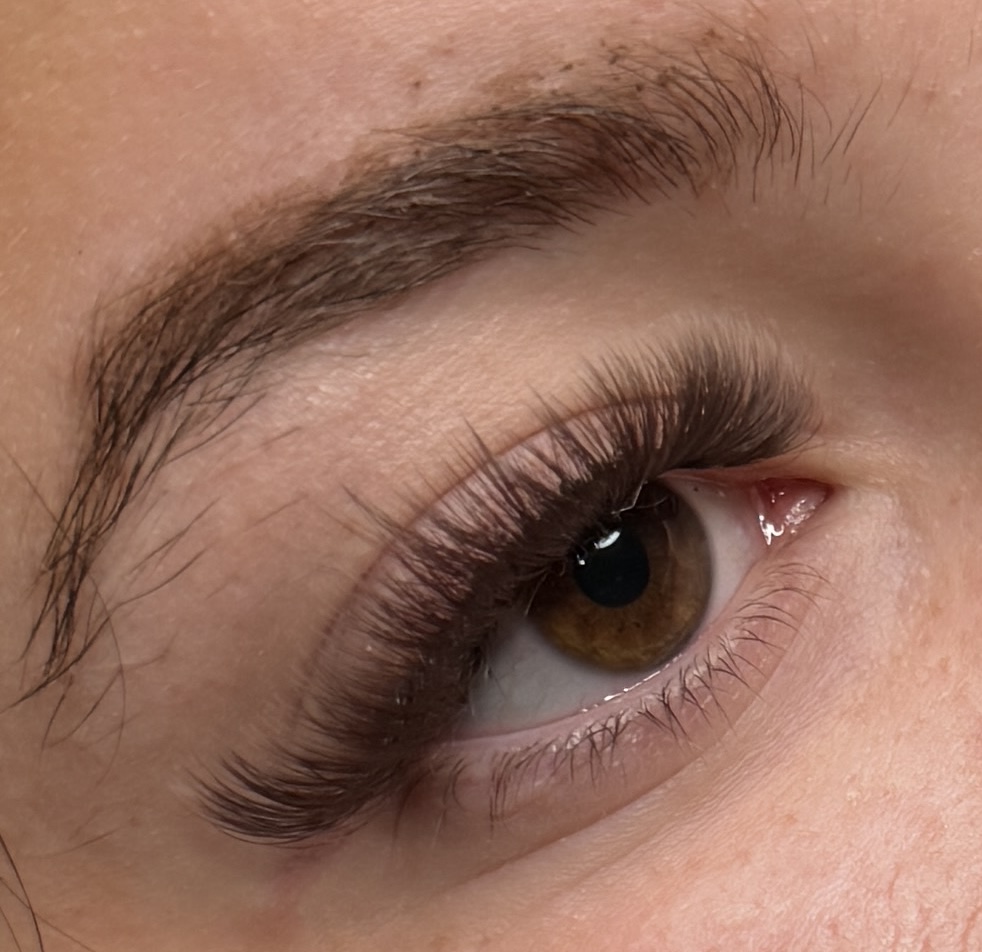 Brown Lashes Full Set