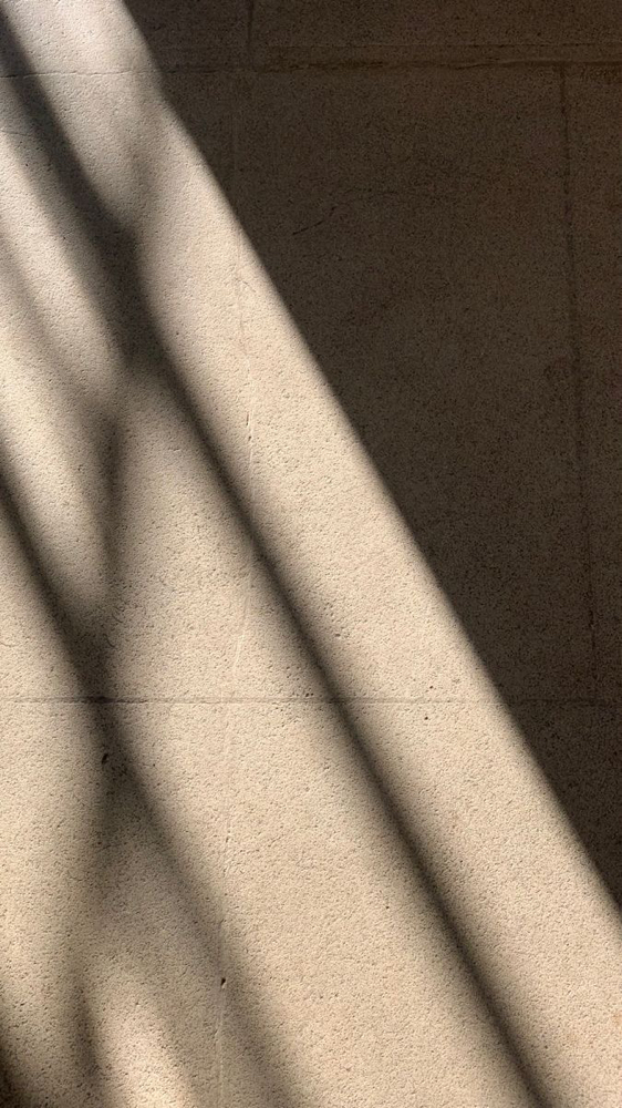 Extension Removal at Salon Jt in New Berlin, WI