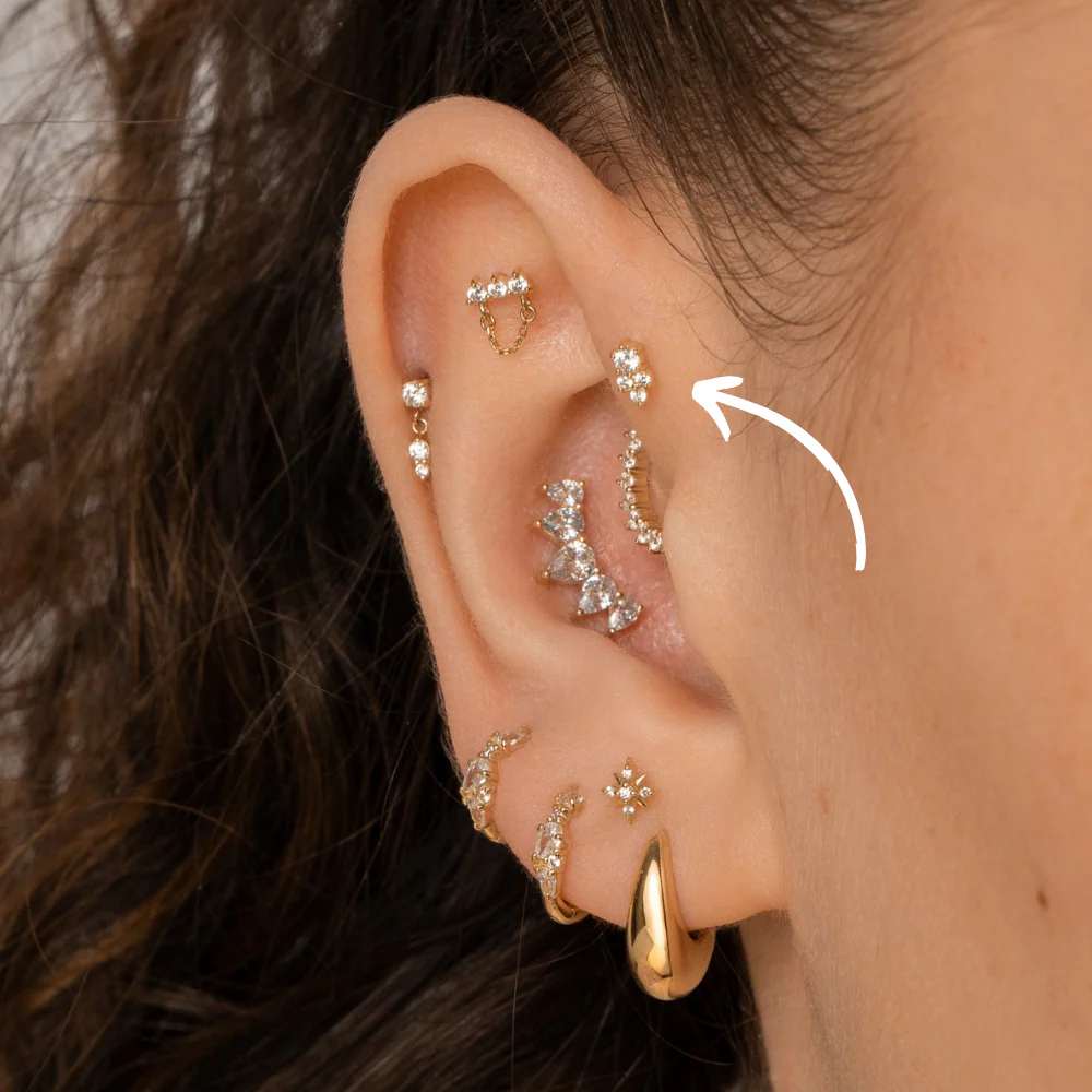 Forward Helix at Essence of Nirvana in Beverly, MA