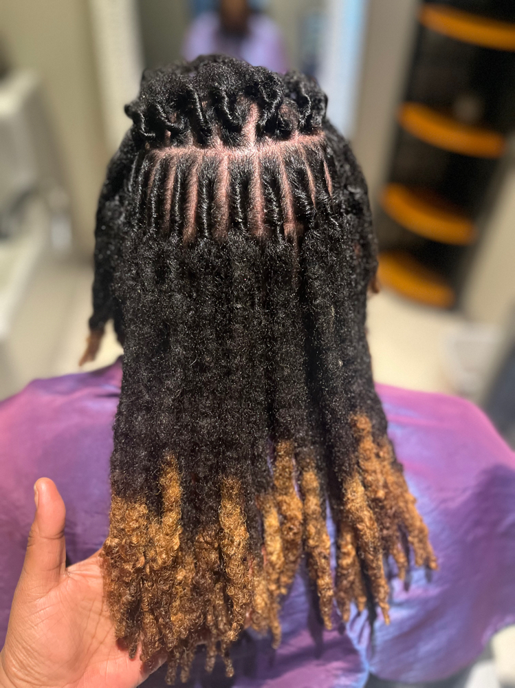 Wash & Retwist 30 Day Maintenance