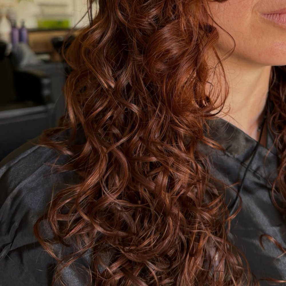 COPPER AND REDS at HAIR BY DIANNA Unleashed in Camarillo, CA