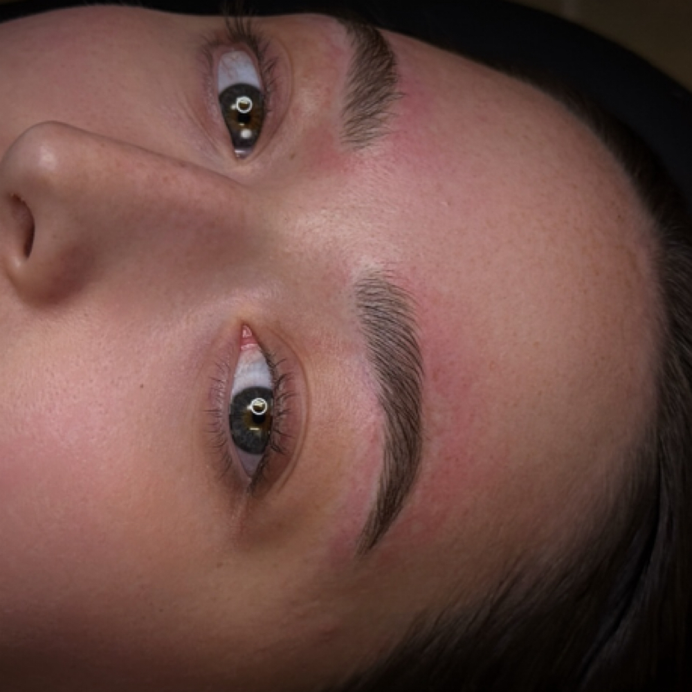 Annual Color Boost- Brows at Key West- Camellia Permanent Makeup & Tattoo in Key West, FL