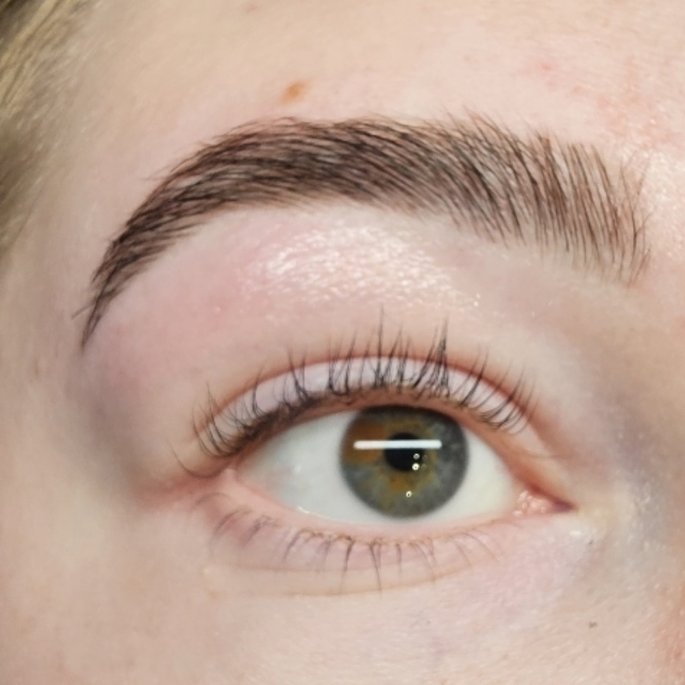 Brow Wax And Tint at Magnolia Beauty LLC in North Logan, UT