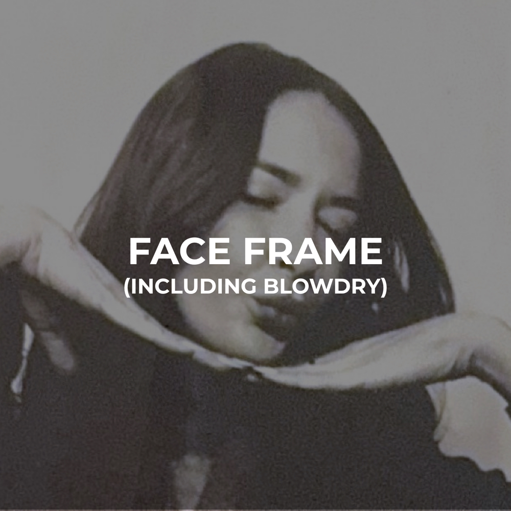 FACE FRAME HIGHLIGHT (w/ blowdry) at MaggieDoesMyHair in New York City, NY