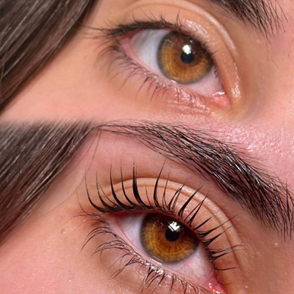 Lash Lift + Tint + Botox Treatment at Your.lashpro Julia in Pensacola, FL