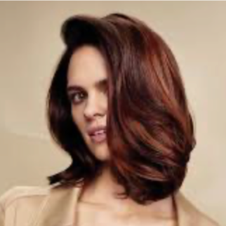Root Touch up + Ends at Hair by Wendy Walker in Bloomington, IL