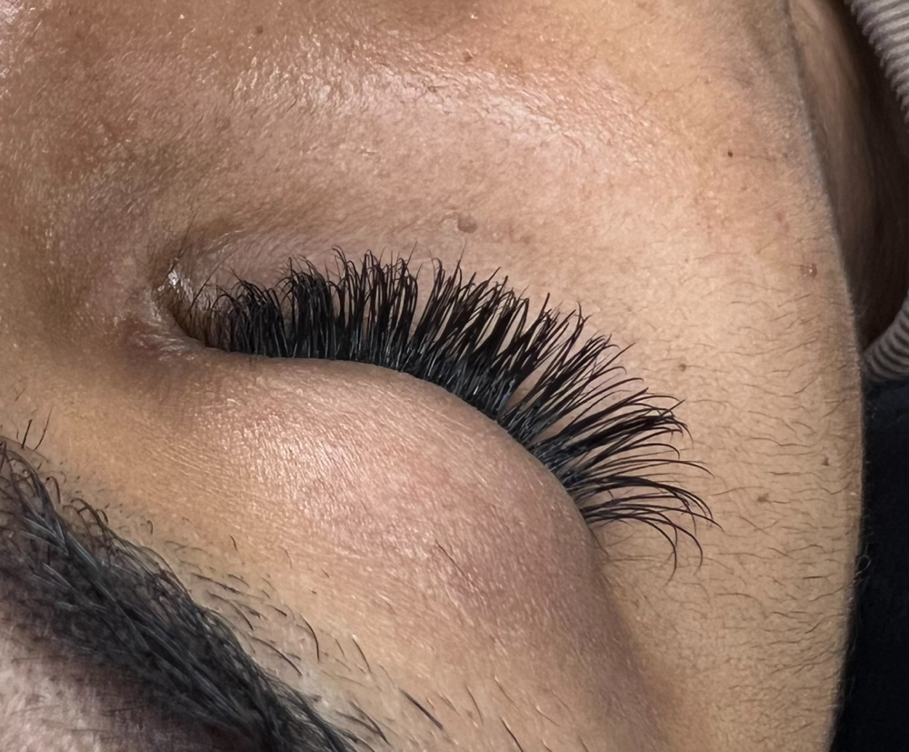 Classic Lashes