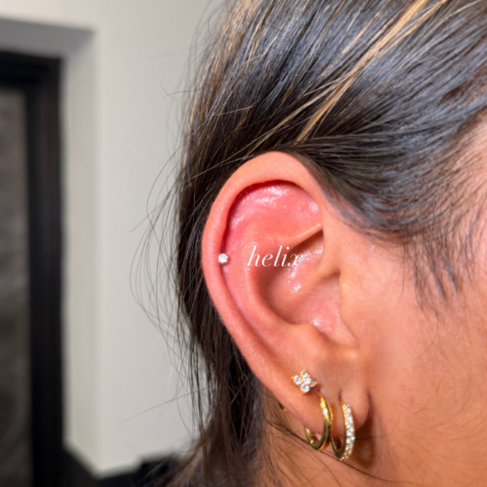 PIERCING PARTY at Tattoo Tech in Moraine, OH