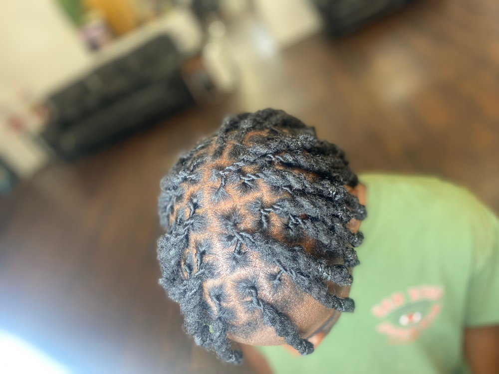 Two Strand/ Plaits at BeautyTurnsHeads in Portsmouth, VA
