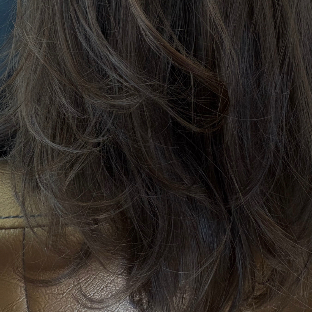 DRY HAIRCUT at ManeByMinnie in Nashville, TN