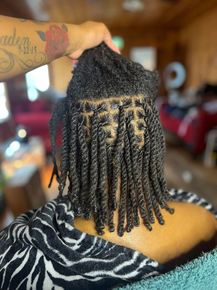 Two Strand Twists