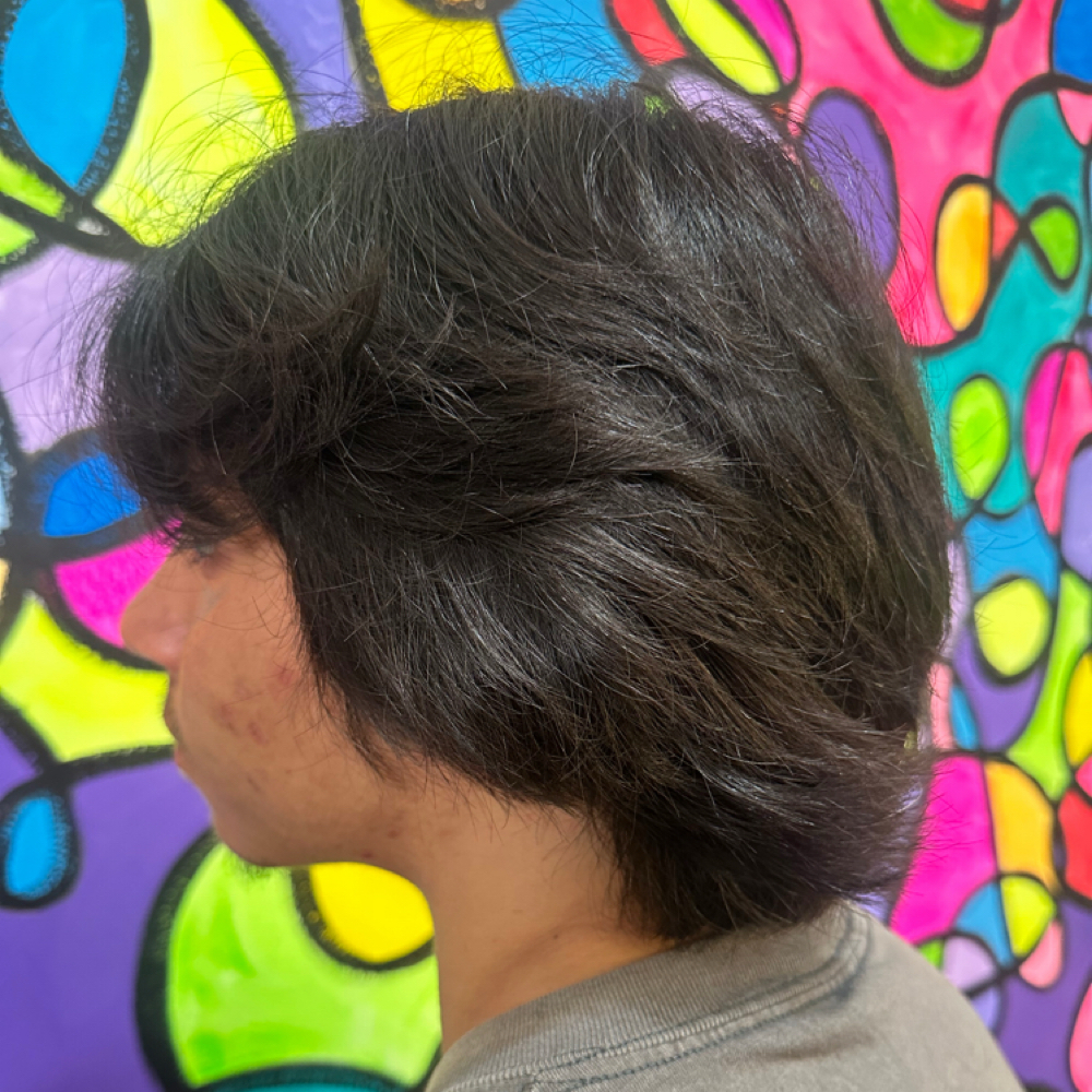 Student Cut (with ID) at PUNKY JOLENE HAIR @ CUT N DYE SALON in St Louis, MO