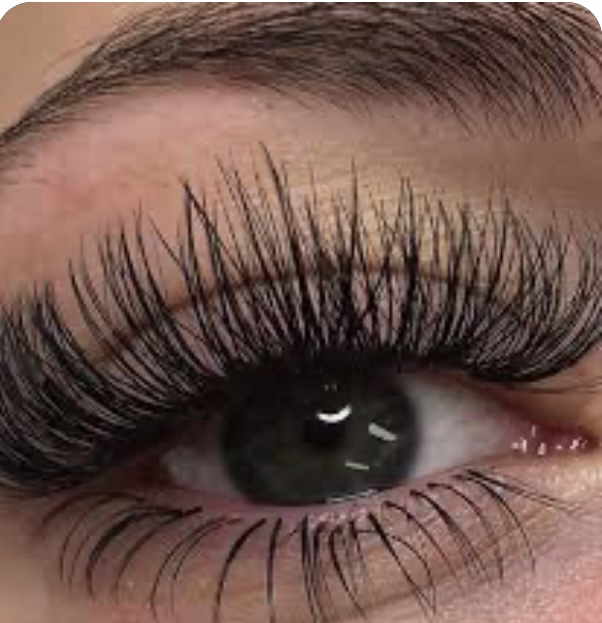 Bottom Lashes
