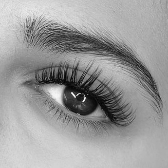 Wet Set Lashes