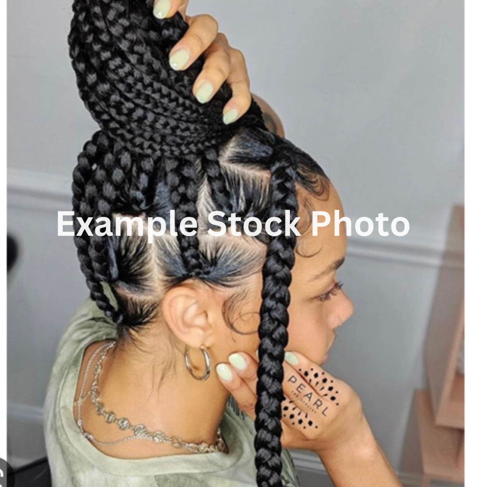 Knotless Braids (Large)