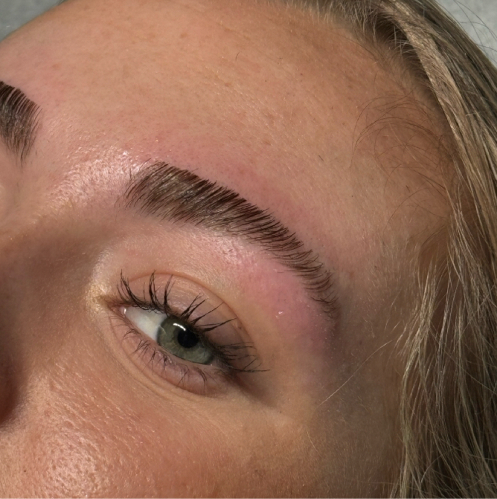 Brow Lamination + Wax at Aliya Alina Wax Studio in Sarasota, FL