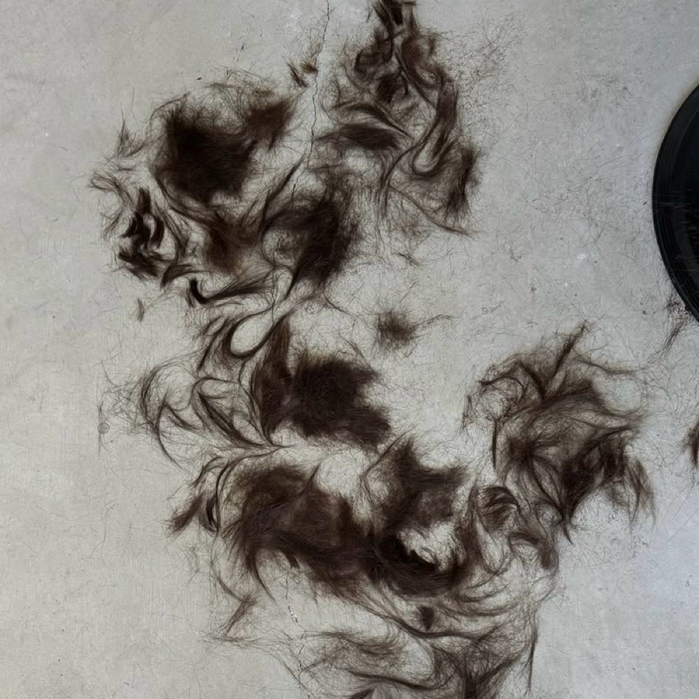 Weight Removal at Hazel + Mane in Bonney Lake, WA